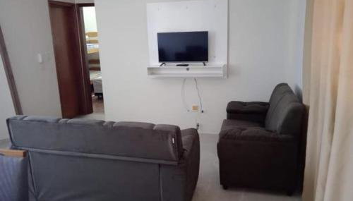 ap 22 amaryllis - Foto 2