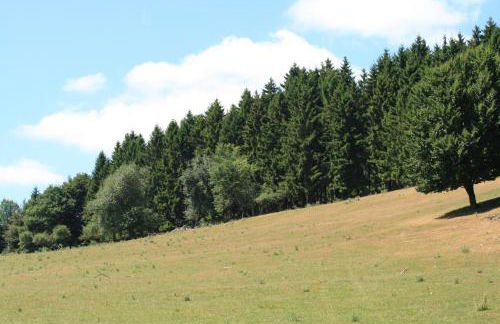 EIFELCOTTAGE Family 9 - Photo 26