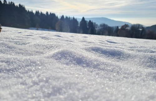 Fewo Kleine Auszeit - Foto 48