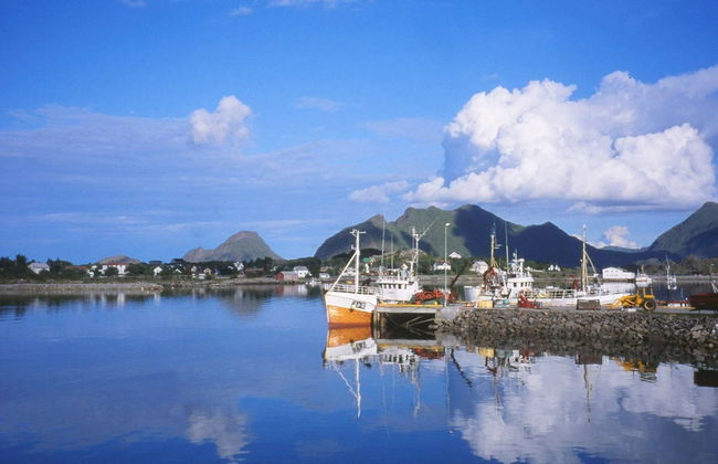 4 Person Holiday Home in Gravdal-by Traum - Foto 13