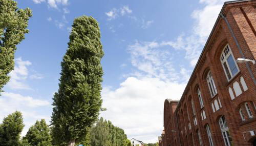 Motel Home Wittenau - Foto 3