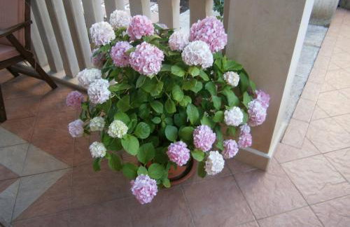 Apartments Toni - Foto 56