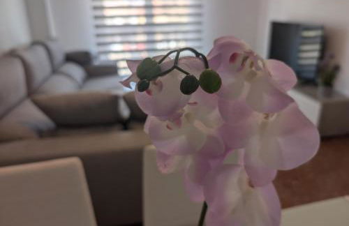 Piso Céntrico Armilla - Foto 2