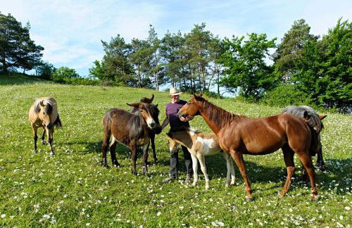 Nengshof Ferienhaus Gänseblümchen - Foto 35