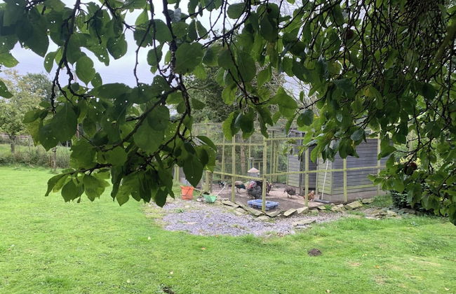 2-bed Cabin Sleeps 4 -small Pets Ok -free Parking - Foto 12