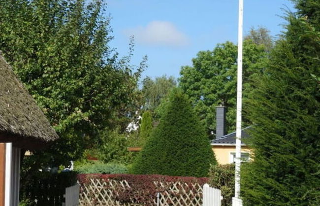 Captain House South Cats 8 - Photo 9