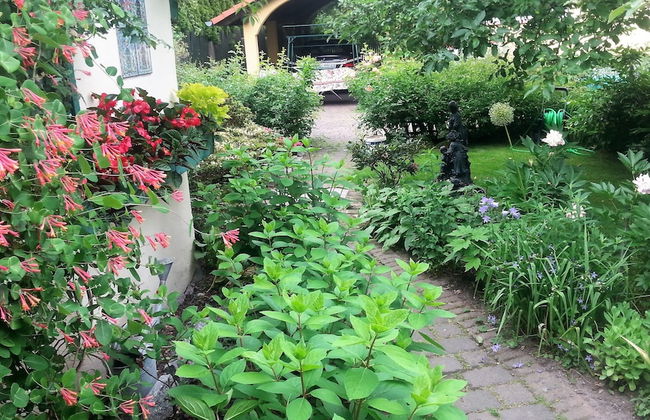 Apartment Under Cedar - Foto 28