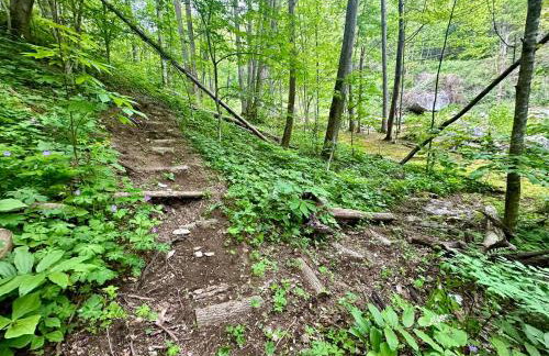 Windows Over Waterfalls - Foto 15