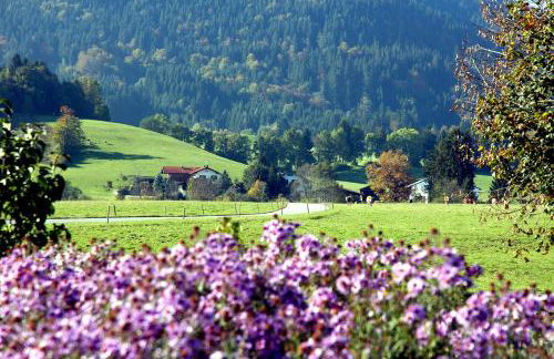 Ferienwohnungen im Alpengästehaus Marzoll - Bad Reichenhall, Adults only, keine Haustiere - Photo 9