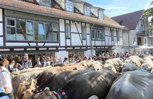 Bergblick-Lounge zentral in Immenstadt - Foto 18