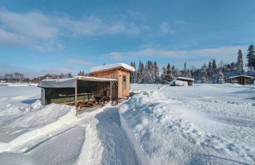 Owca za płotem - Foto 33