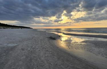 Rogowo Shellter Apartament Premium przy plaży - Foto 44