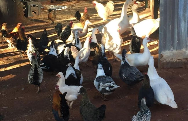 The Cradle Rest - Foto 30