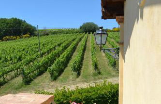 Tenuta Pizzogallo - Foto 28