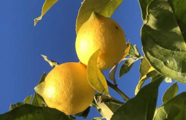 Lovers' Nest - Unità 1 - Foto 29