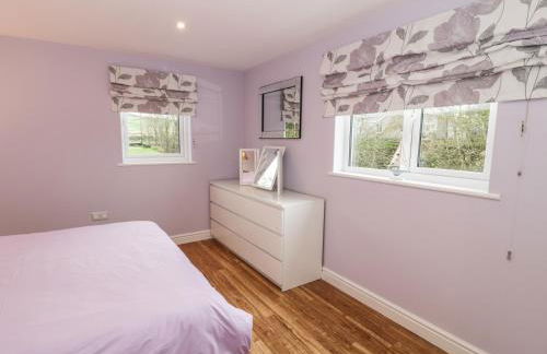 Nant Y Felin Lodge - Foto 12