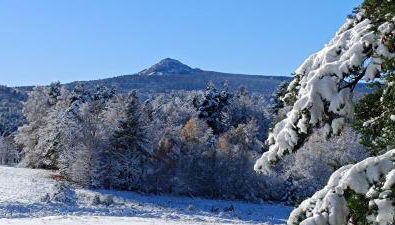 L'Ecole Buissonnière de Mazalibrand - Foto 5