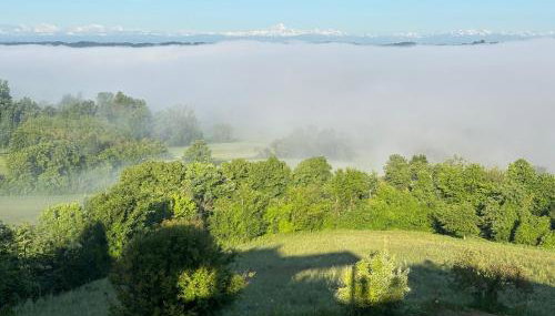 Tenuta Paradiso del Monferrato - Photo 5