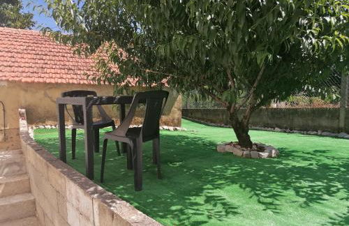 Serra e Mar - Foto 23