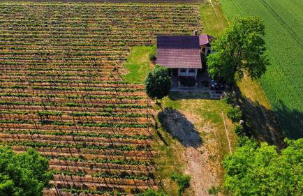 Izletište Opatovac - Foto 6