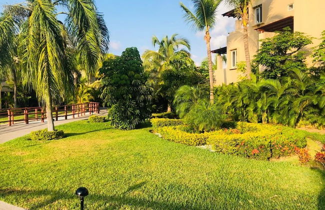 El Tigre Isla Palmares - Foto 44