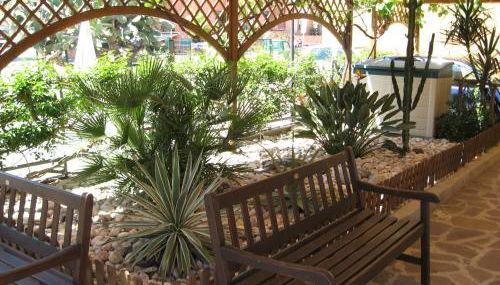 Ammiraglio - Foto 5, Garden