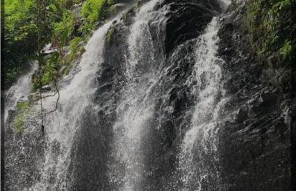 Paraiso em Angra dos Reis - Foto 62