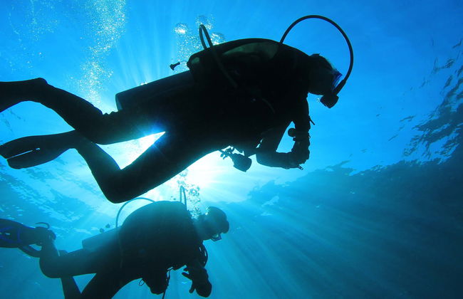 PADI Open Water Course - Photo 1