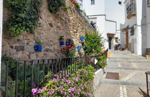 Casa Alkalat - Foto 16