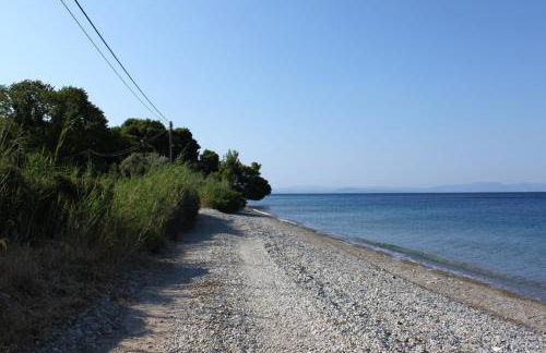 Sungate Beach - Photo 45