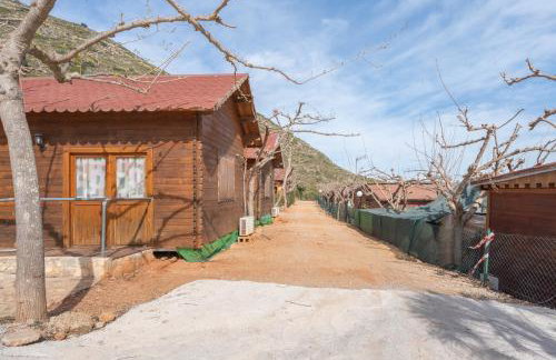 Falaguera Barraca 2 - Foto 17