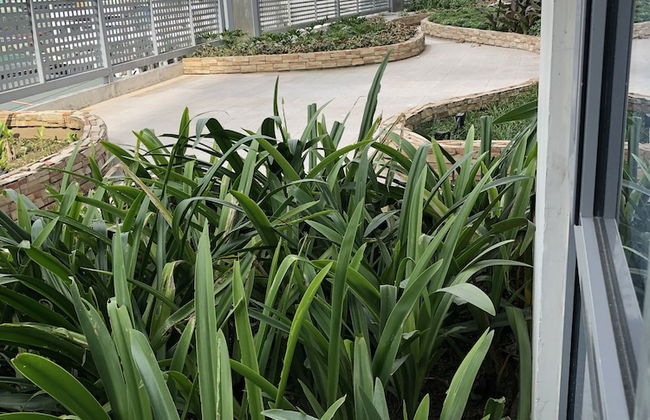 Cubao ManhattanHeights Unit 4Q Tower D - Foto 76