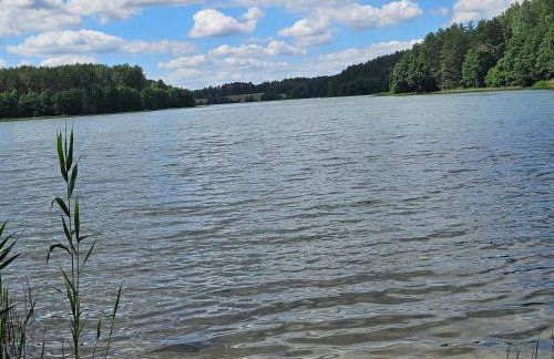 Leśne Wspomnienia - Foto 37