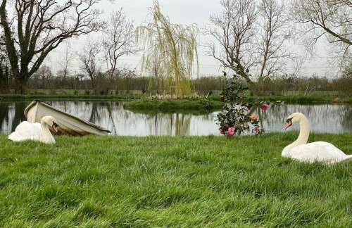 Lakeside Lodge - Foto 3