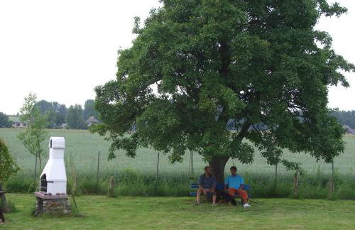 Ferienhaus Boddenhus - Foto 8