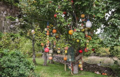 Ceol na Mara - Foto 23