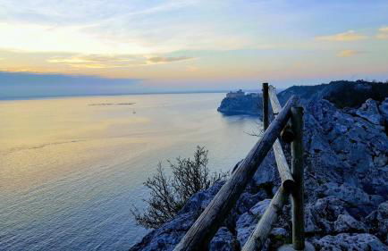 Residence Oliveto Mare Carso - Foto 24