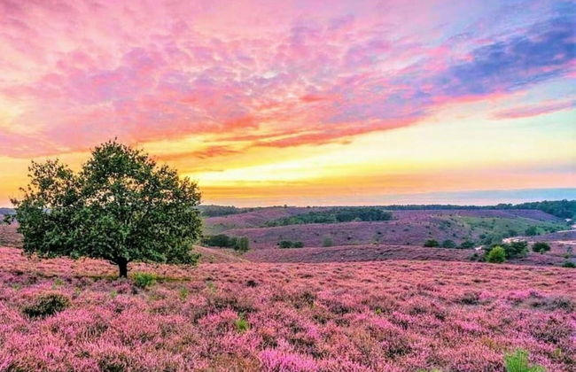 Stylish Stay in Hoenderloo - Foto 38