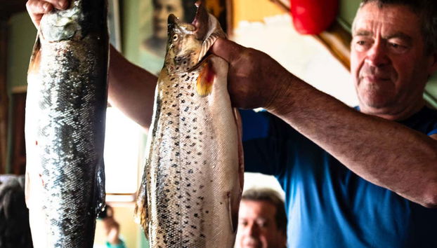 Tasting the capture of the day