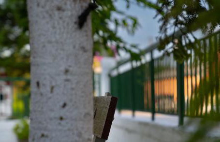 Xrysa's House - Foto 37