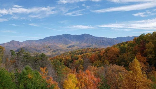 Care Bear 2 - Foto 2, Habitación