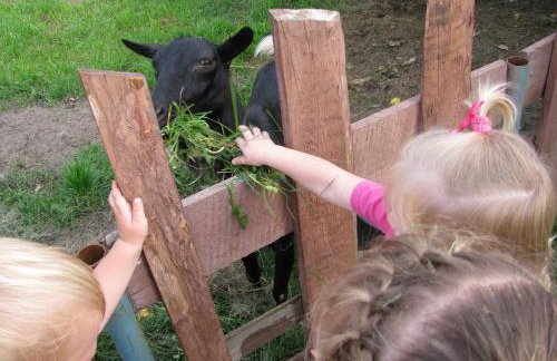 Agroturystyka Borówka - Foto 30