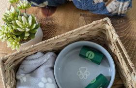 Rosy's Retreat-Cosy Beach Chalet Escape in Bacton Norfolk - Foto 21