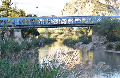 Alojamientos Villarias Archena - Foto 33