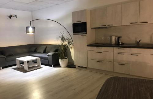 Große & voll ausgestattete Apartments, Studios, Doppelzimmer, Workspace, Parkplatz, Netflix, Prime & schnelles Wifi in ruhiger Lage mit Garten - Foto 35