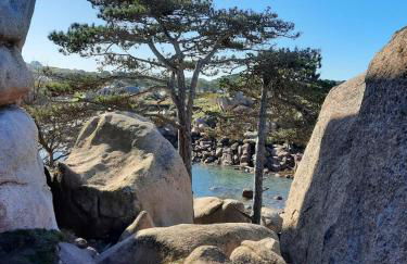 appartement vue mer 50m de la plage, WIFI gratuit - Foto 31