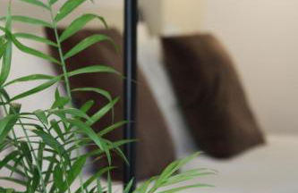 Zen Guest House - Museu do Bonsai - Foto 16