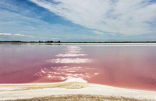 LE TOLOSANA - Appartement 4 personnes - Centre WiFi Cosy - Foto 37