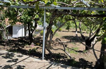 Lila's Guest House - Foto 26