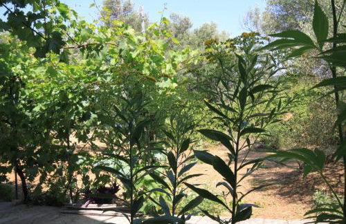 Apartments by the sea Luka - Dugi otok - 8151 - Photo 17